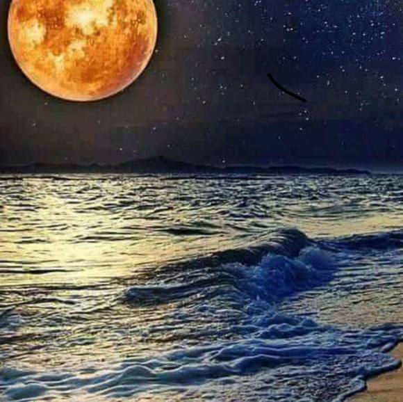 Meet your Posher, Tahira - Picture 1 of 1